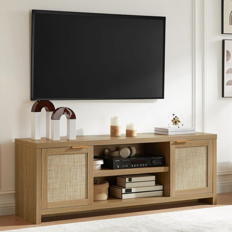 Rattan 65-Inch TV Stand with 2-Door Storage