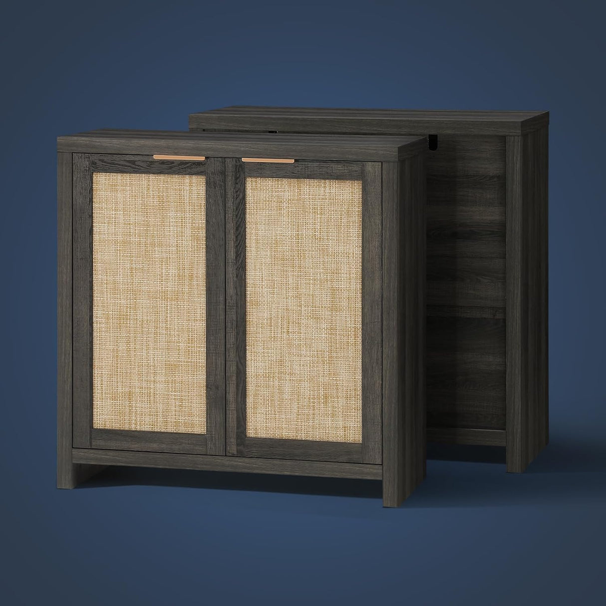 Rattan 2-Door Storage Sideboard