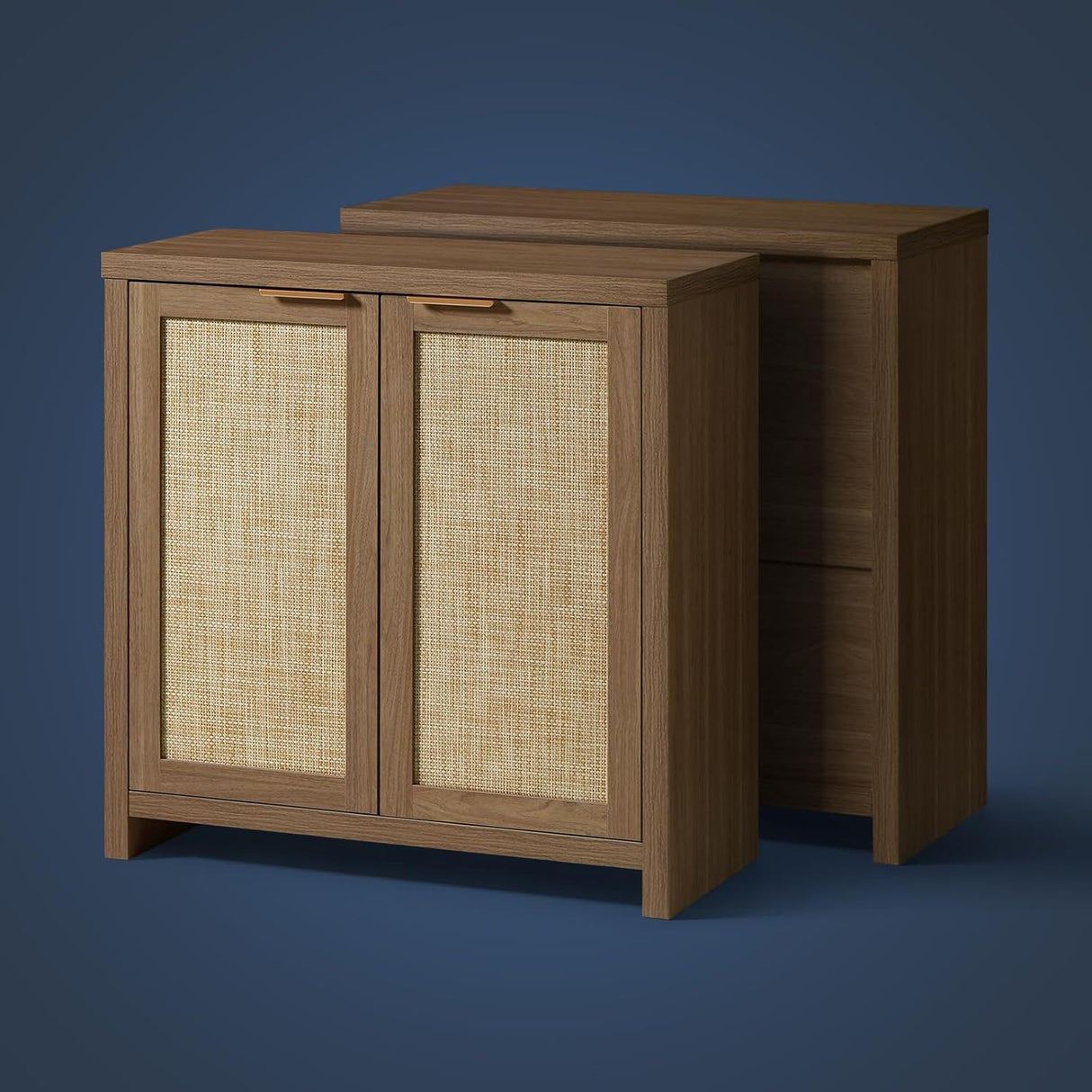 Rattan 2-Door Storage Sideboard