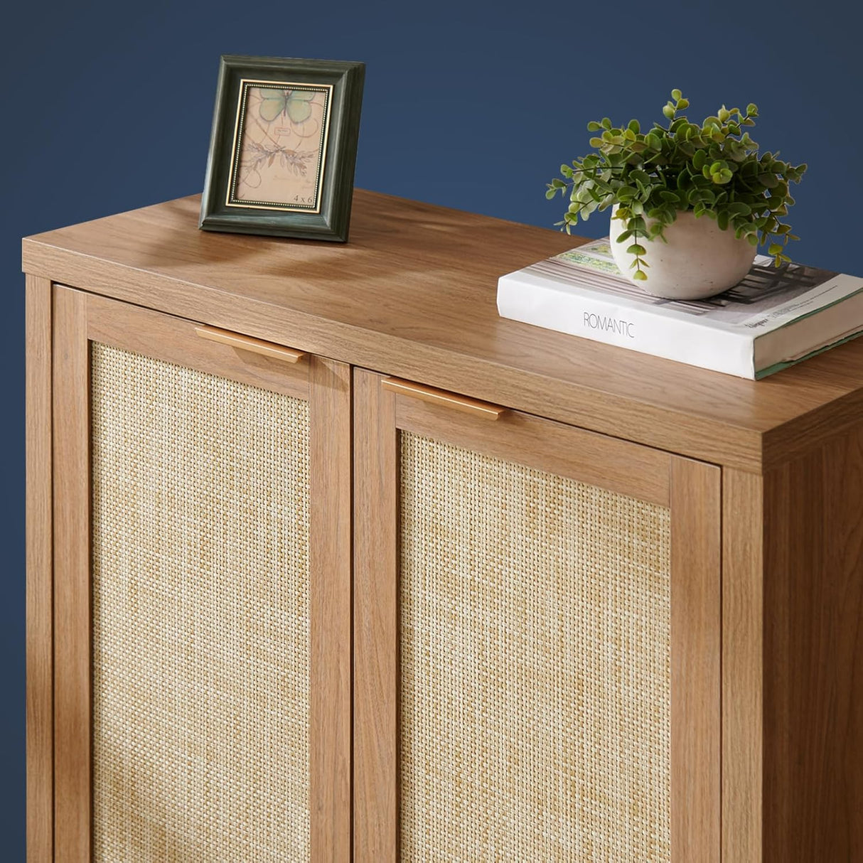 Rattan 2-Door Storage Sideboard